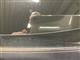 Billede af Peugeot 2008 Edition 1.2 PureTech 130 Automatgear