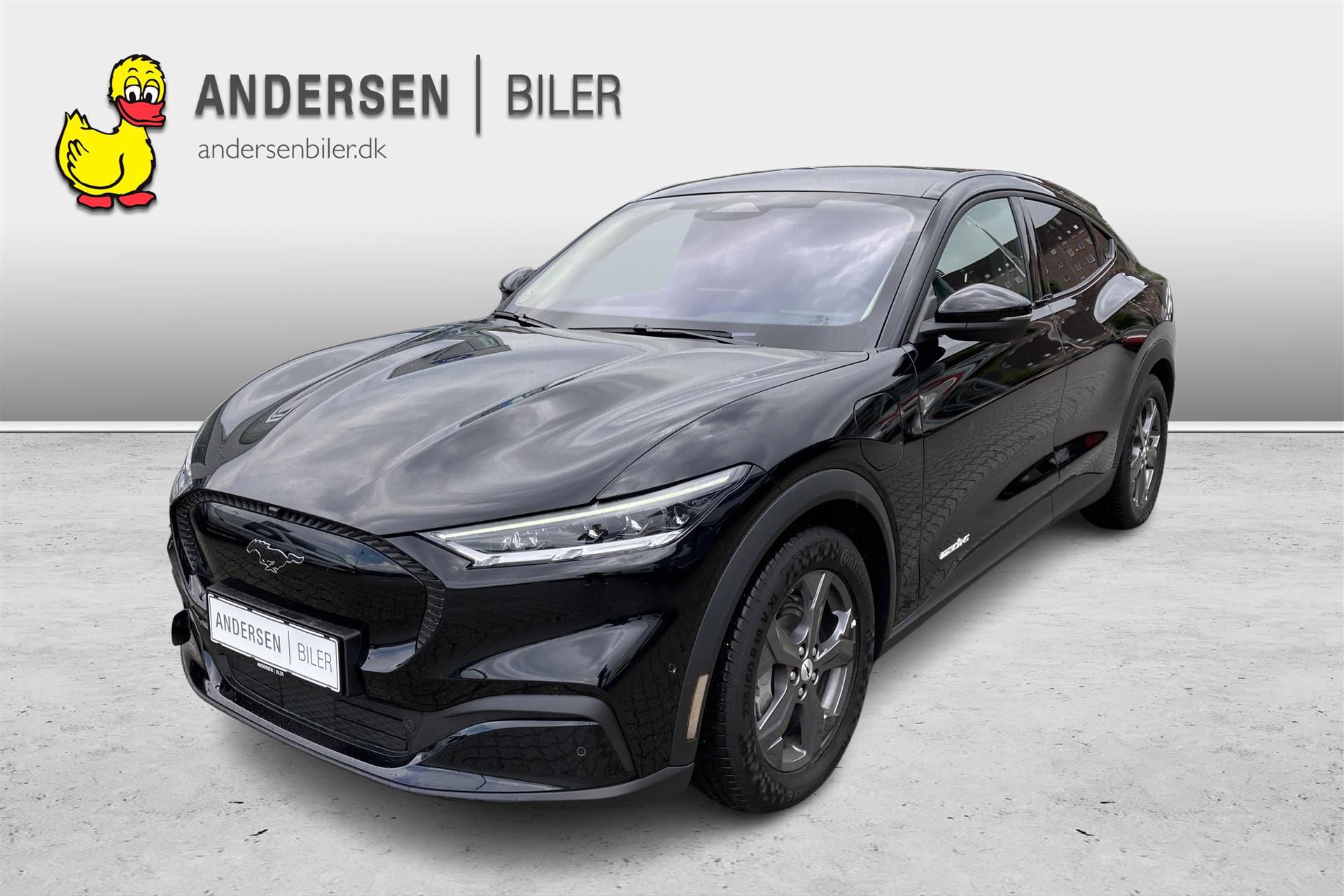 Billede af Ford Mustang Mach-E EL SR 269HK 5d Aut.