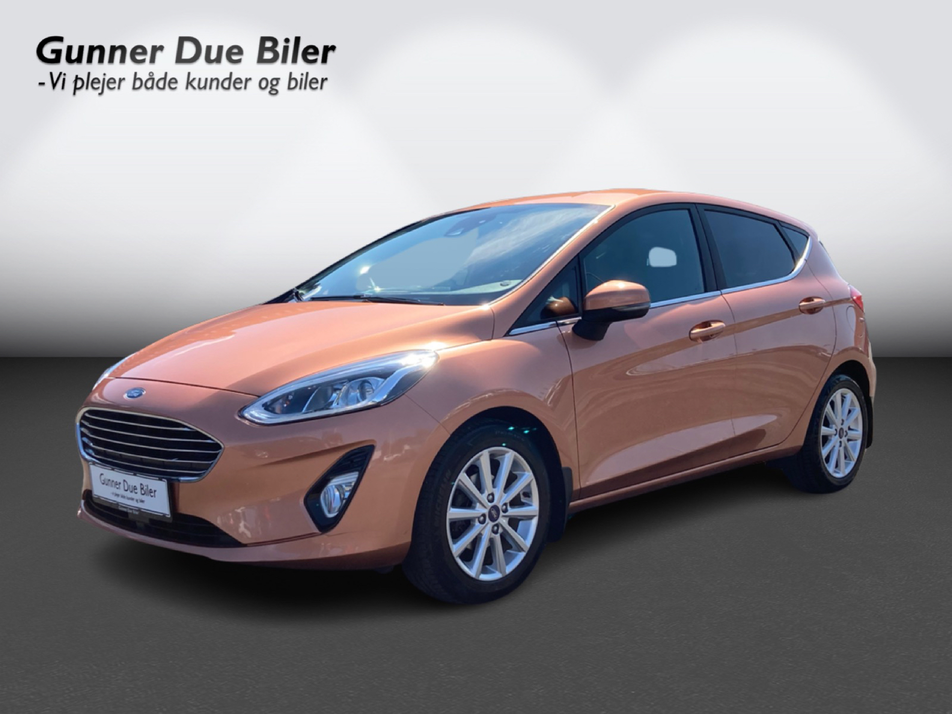 Billede af Ford Fiesta 1,0 EcoBoost Titanium Start/Stop 100HK 5d 6g