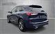 Ford Kuga 2,5 Plugin-hybrid ST-Line X CVT 225HK 5d Trinl. Gear-11903121