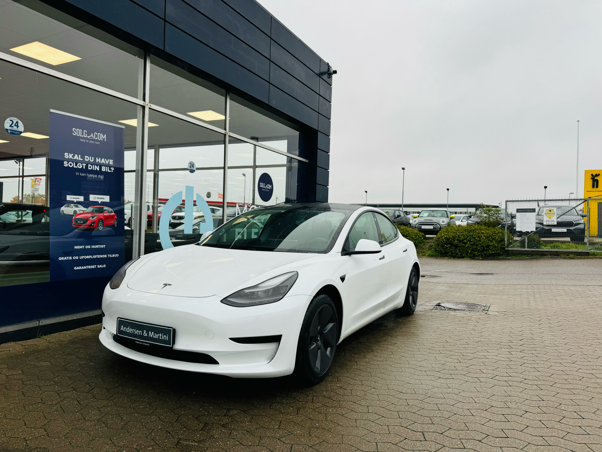 Billede af Tesla Model 3 EL Standard Range Plus 325HK Aut.