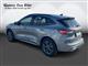 Billede af Ford Kuga 2,5 Plugin-hybrid ST-Line X CVT 225HK 5d Trinl. Gear