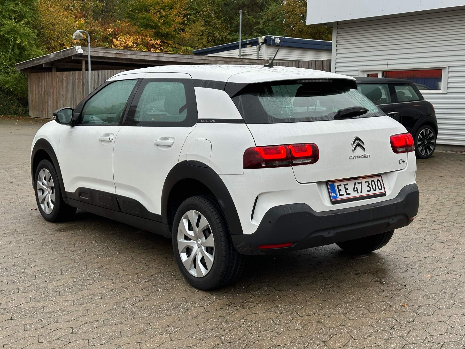 Billede af Citroën C4 Cactus 1,2 PureTech Platinum 110HK 5d 6g