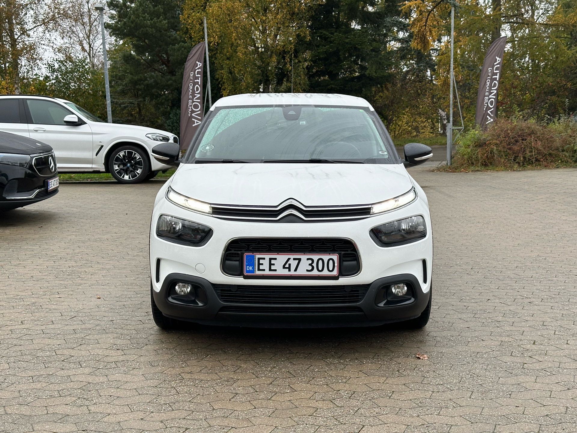 Billede af Citroën C4 Cactus 1,2 PureTech Platinum 110HK 5d 6g