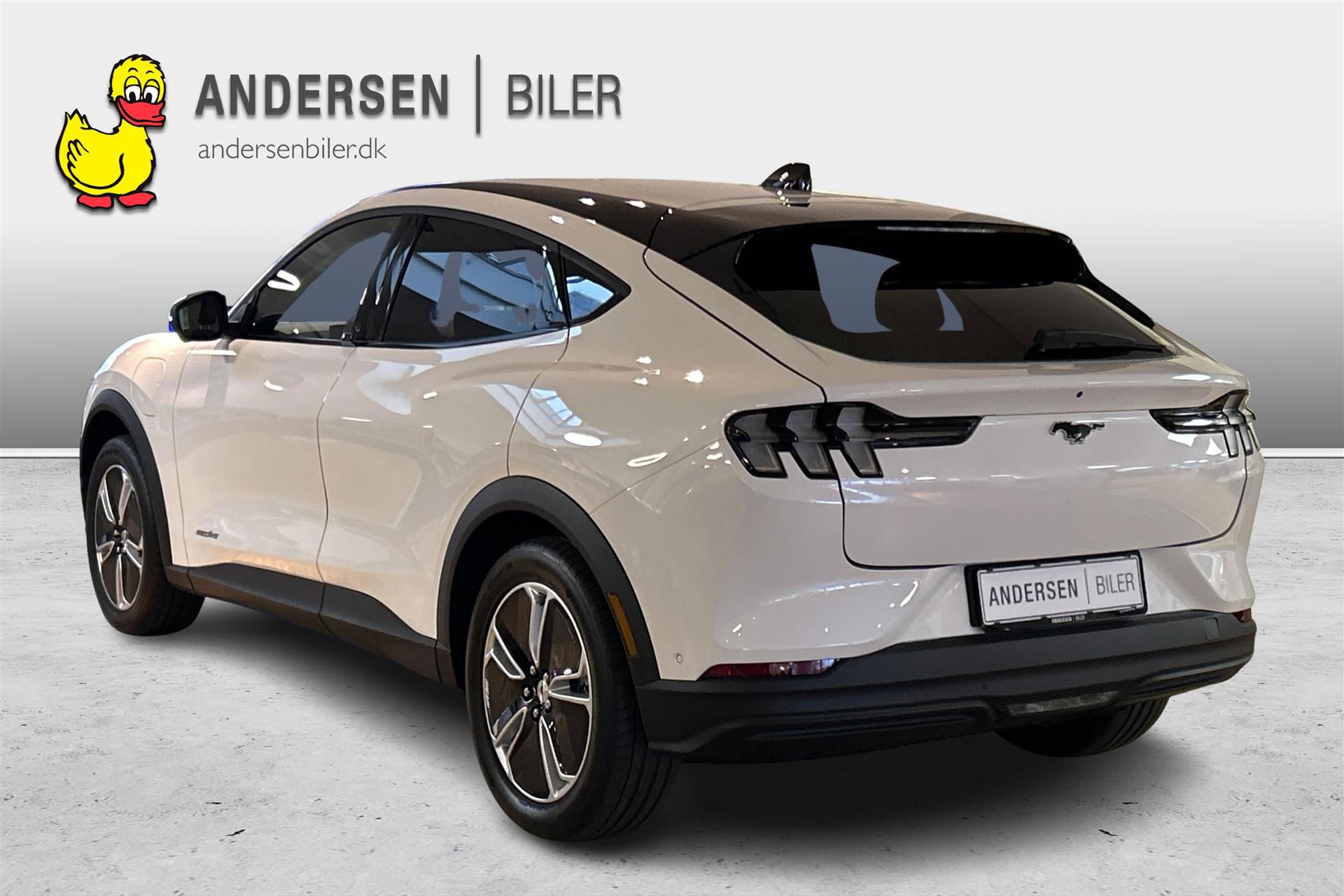 Billede af Ford Mustang Mach-E EL SR 269HK 5d Aut.