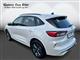 Billede af Ford Kuga 2,5 Plugin-hybrid ST-Line X CVT 225HK 5d Trinl. Gear