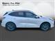 Billede af Ford Kuga 2,5 Plugin-hybrid ST-Line X CVT 225HK 5d Trinl. Gear