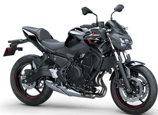 Billede af Kawasaki Z650  Grå 2024  