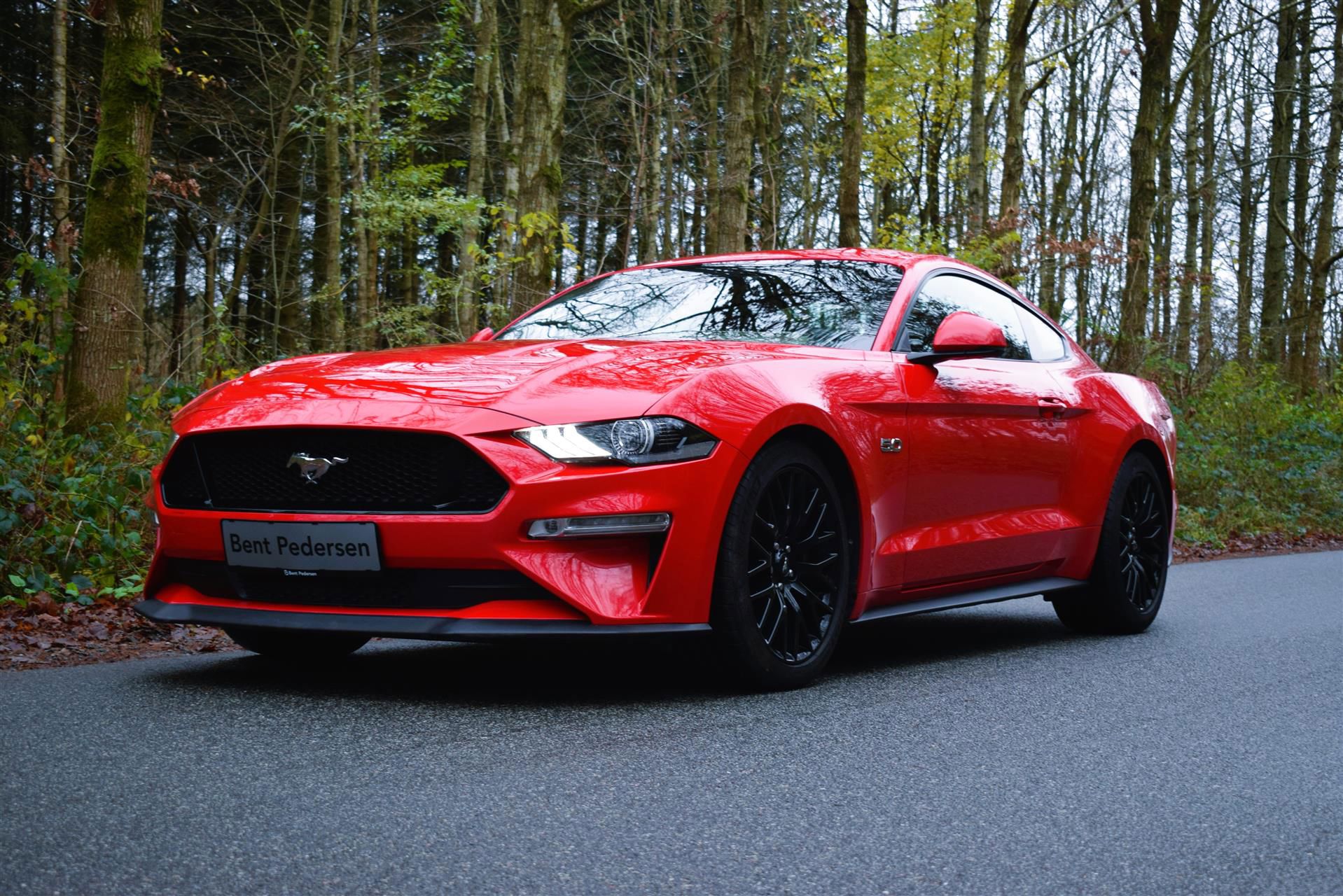 Billede af Ford Mustang 5,0 Ti-VCT GT 450HK 2d 10g Aut.