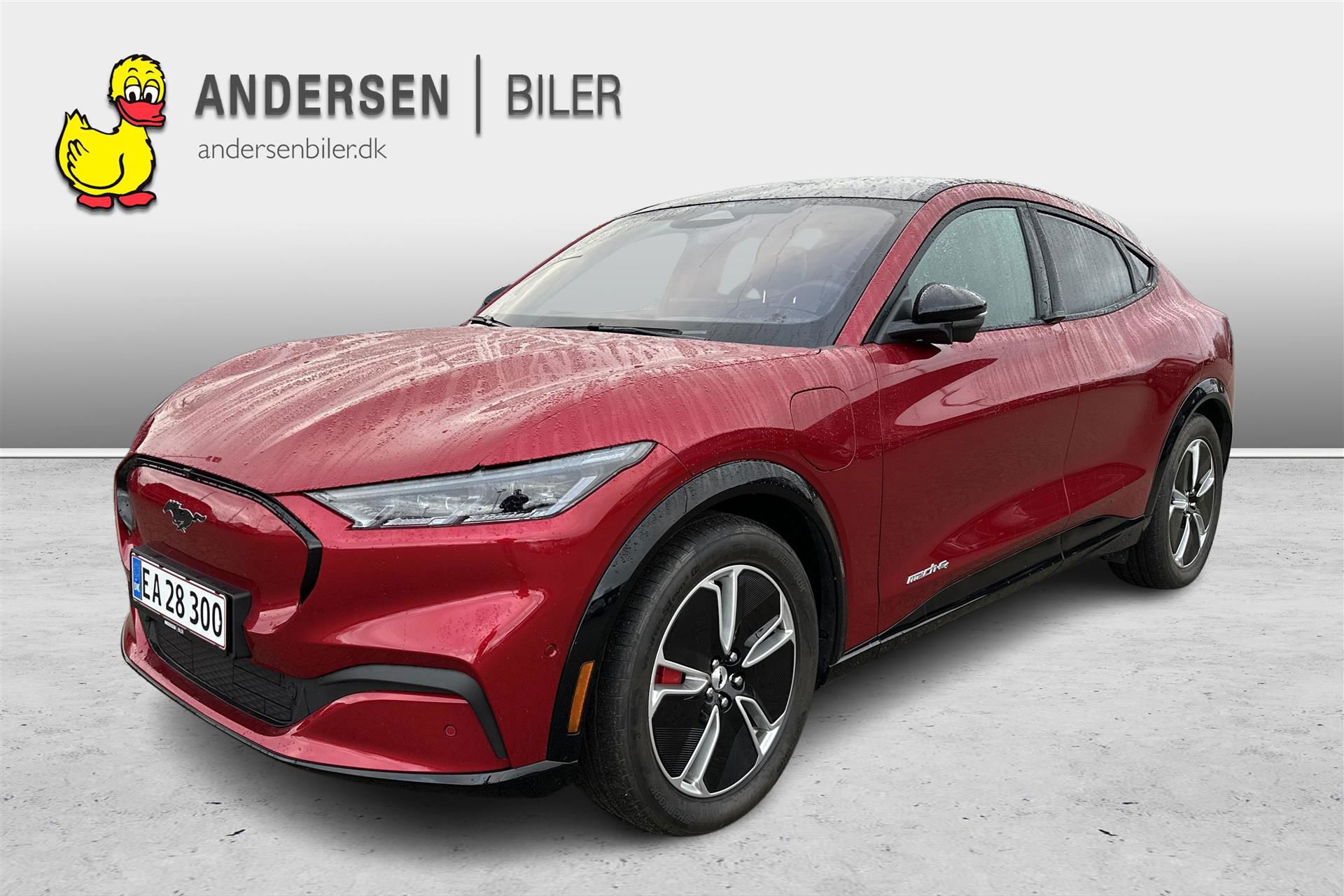 Billede af Ford Mustang Mach-E EL SR Premium AWD 269HK 5d Aut.