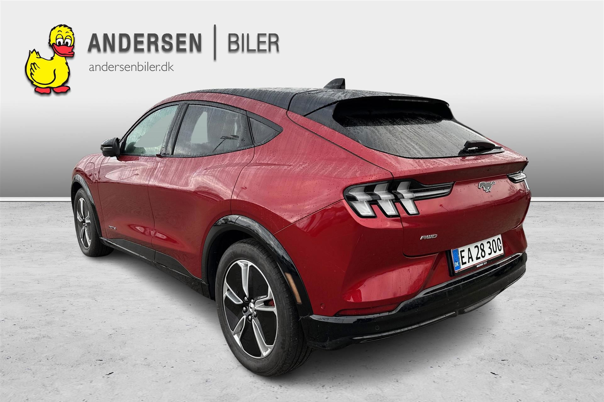 Billede af Ford Mustang Mach-E EL SR Premium AWD 269HK 5d Aut.