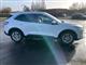 Billede af Ford Kuga 1,5 EcoBlue Titanium X 120HK 5d 8g Aut.