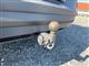 Billede af VW ID.4 EL Pro Performance 204HK 5d Aut.