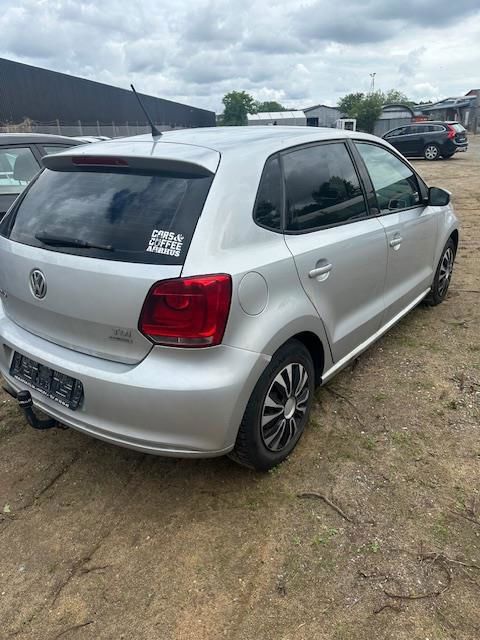 Billede af VW Polo 1,6 BlueMotion TDI DPF Comfortline 90HK 5d