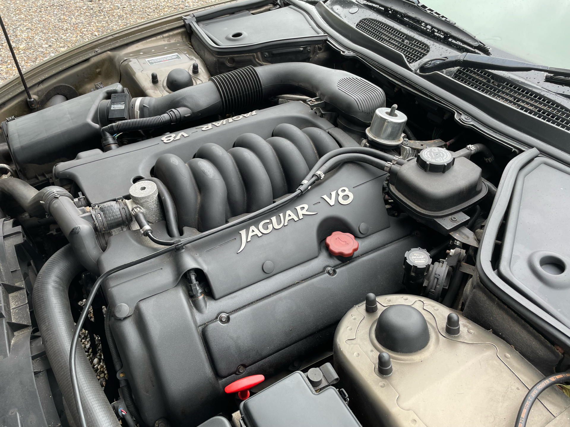 Billede af Jaguar XK8 4,0 284HK 2d Aut.