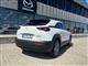 Billede af Mazda MX-30 e-Skyactiv Exclusive-Line 145HK 5d Aut.