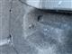 Billede af Skoda Enyaq iV 80 EL 204HK 5d Aut.