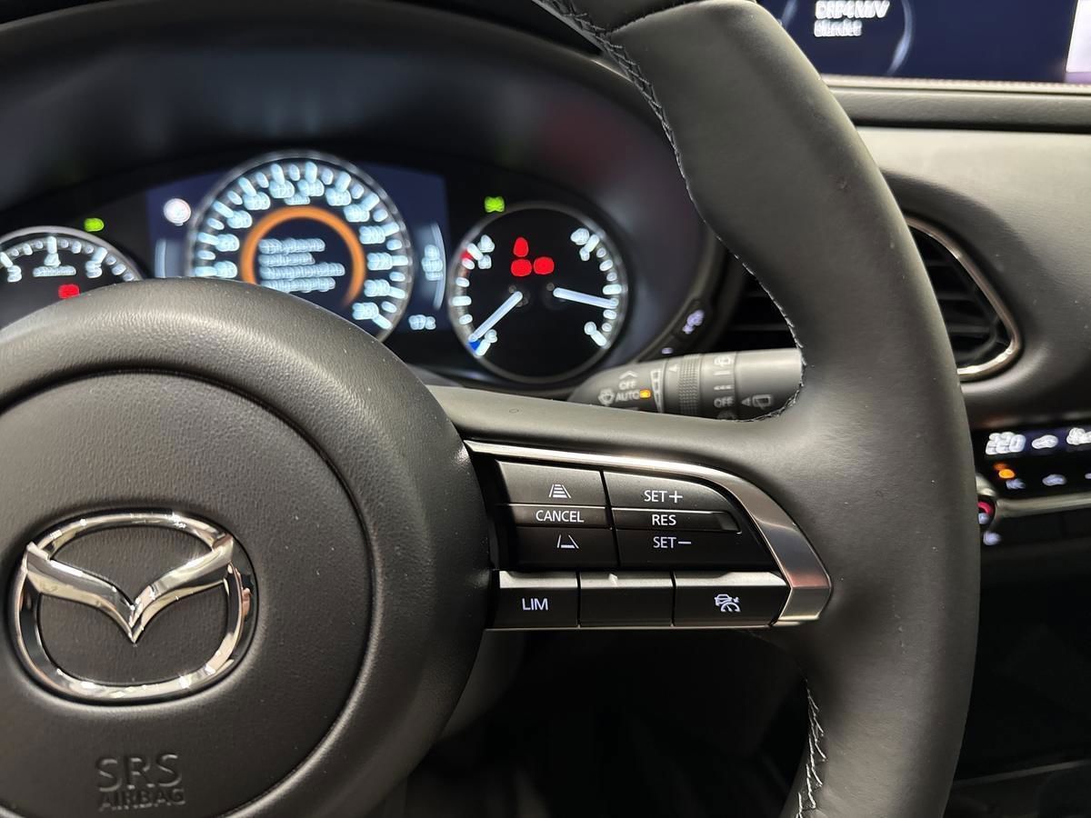 Billede af Mazda CX-30 2,5 e-Skyactiv-G  Mild hybrid Homura 140HK 5d 6g Aut.