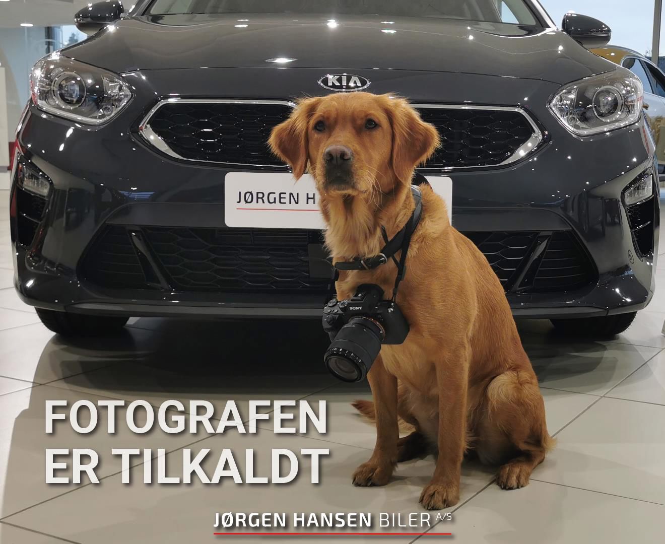 Billede af Kia EV6 EL Long Range 229HK 5d Aut.