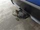 Billede af BMW i4 eDrive35 Gran Coupé Supercharged 286HK 5d Aut.