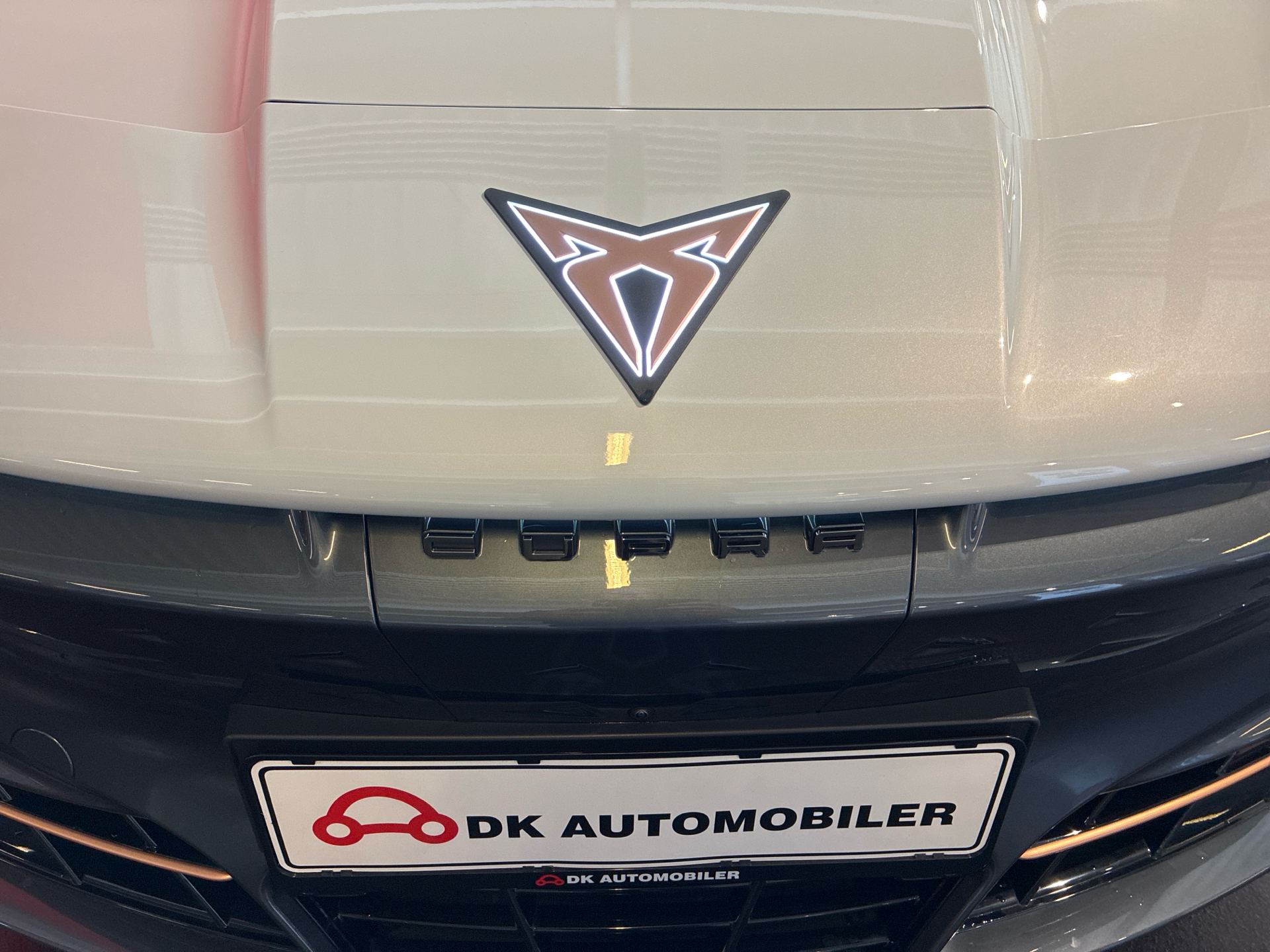 Billede af Cupra Tavascan EL VZ Adrenaline 4X4 340HK 5d Aut.