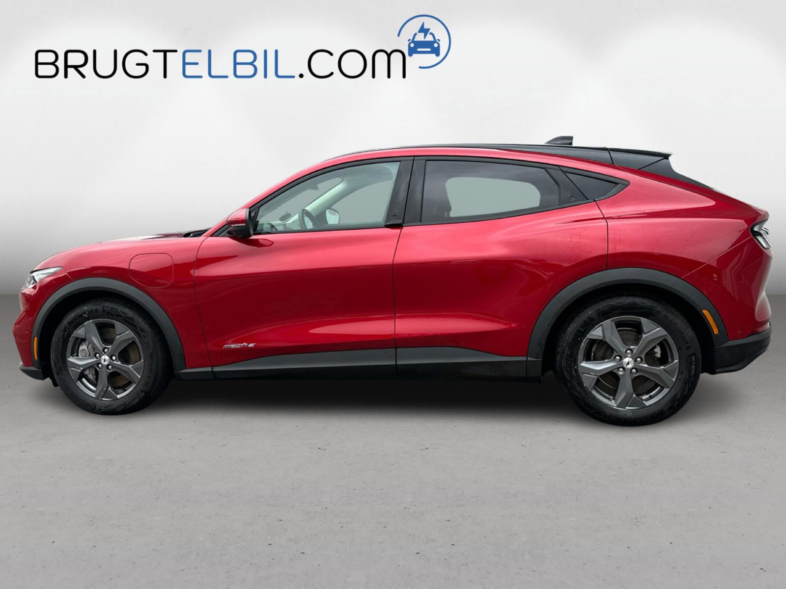 Billede af Ford Mustang Mach-E EL SR 269HK 5d Aut.