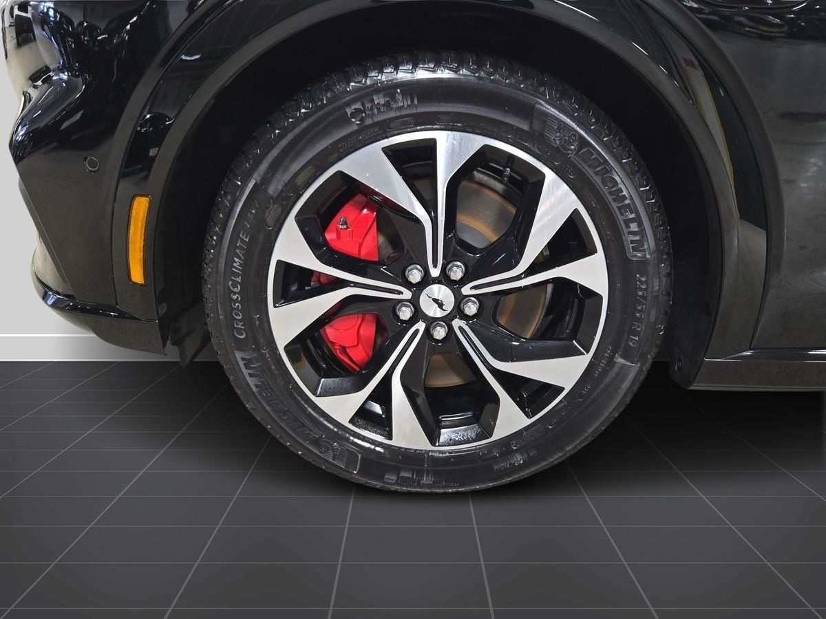 Billede af Ford Mustang Mach-E Van EL SR Premium 269HK Van Aut. 