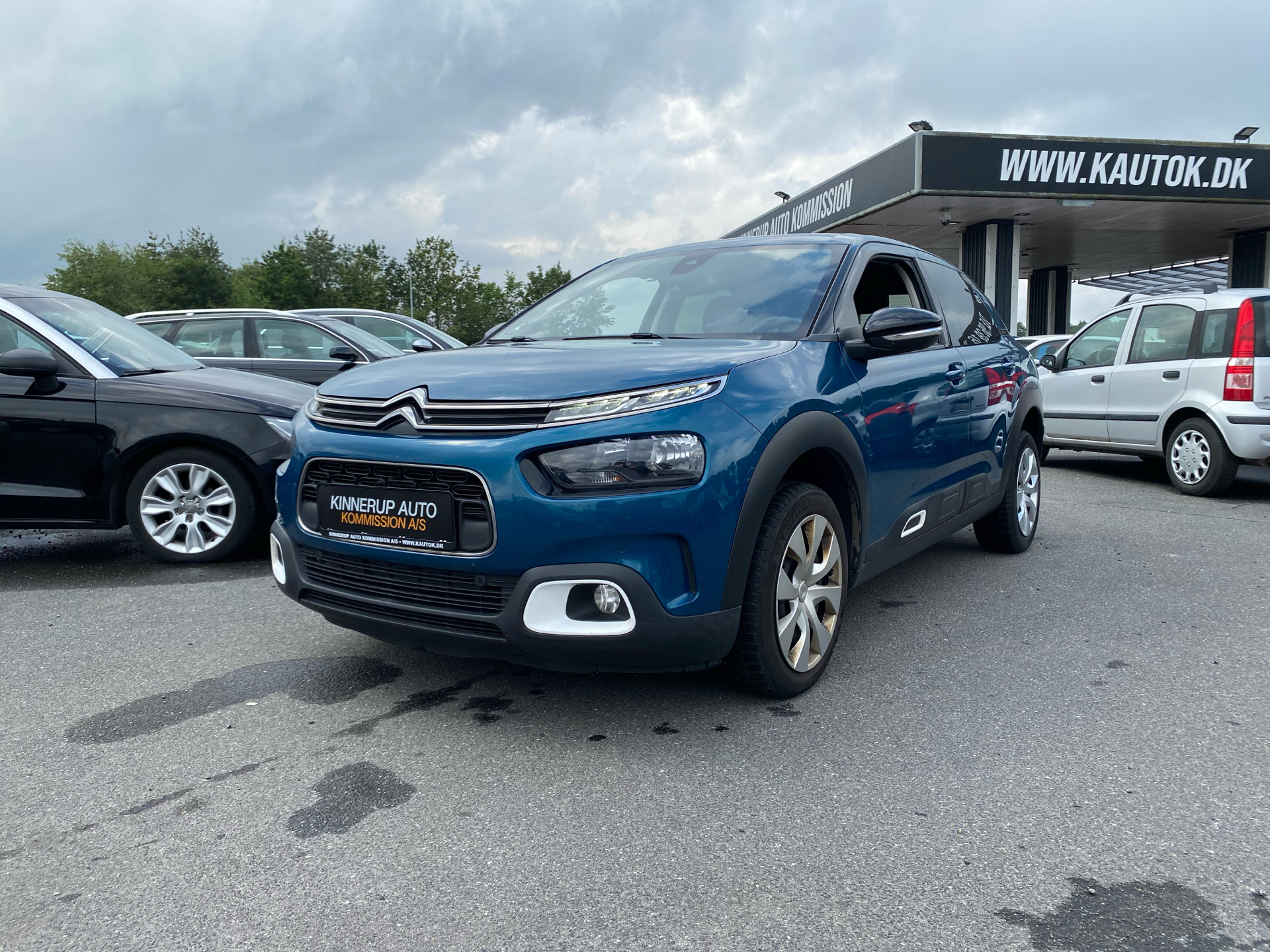 Billede af Citroën C4 Cactus 1,2 PureTech Skyline 110HK 5d 6g