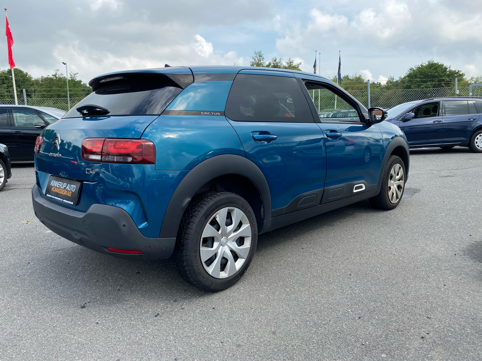 Billede af Citroën C4 Cactus 1,2 PureTech Skyline 110HK 5d 6g
