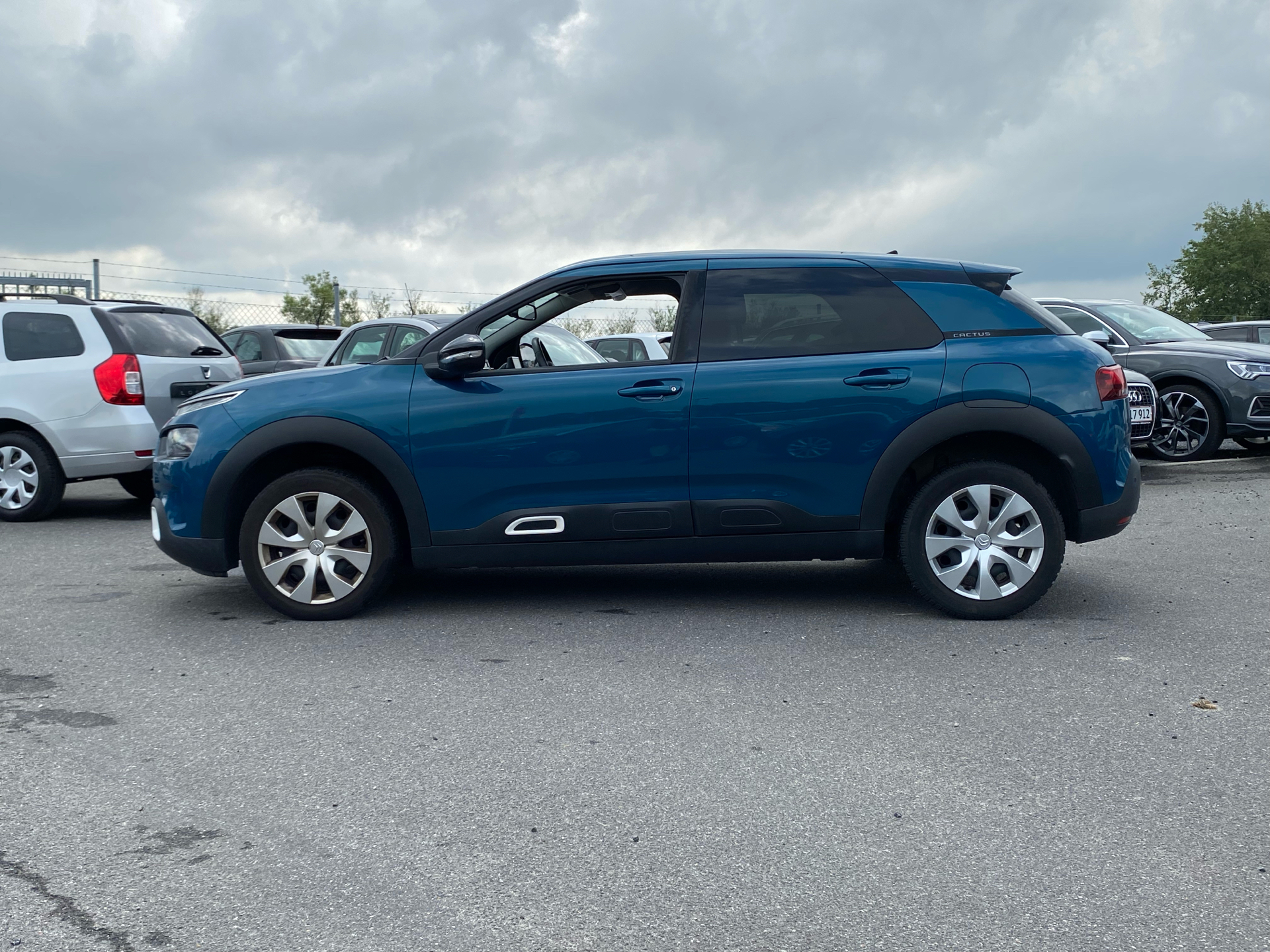 Billede af Citroën C4 Cactus 1,2 PureTech Skyline 110HK 5d 6g