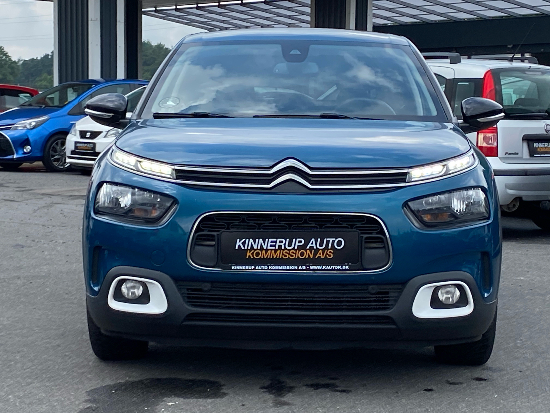 Billede af Citroën C4 Cactus 1,2 PureTech Skyline 110HK 5d 6g