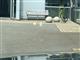 Billede af Mazda MX-30 e-Skyactiv First Edition 145HK 5d Aut.