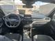 Billede af Ford Kuga 2,5 Plugin-hybrid ST-Line X CVT 225HK 5d Trinl. Gear
