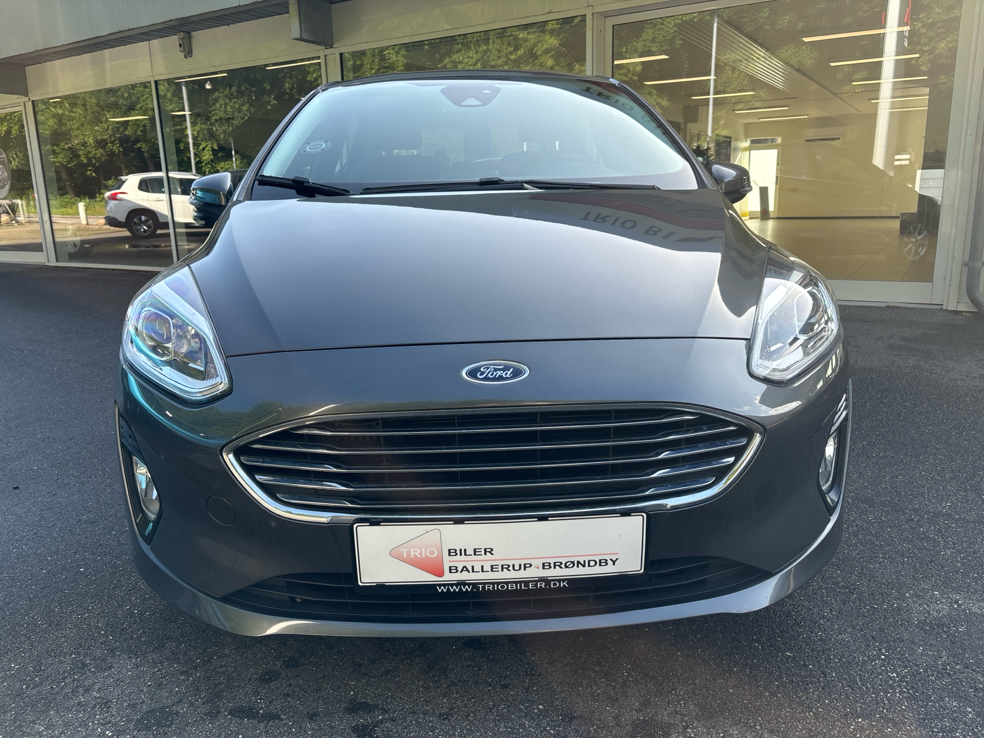 Billede af Ford Fiesta 1,0 EcoBoost Hybrid Titanium 125HK 5d
