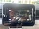 Billede af Suzuki Ignis 1,2 Dualjet Active AEB 90HK 5d