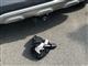 Billede af Renault Captur 1,5 DCI Dynamique EDC 90HK 5d 6g Aut.