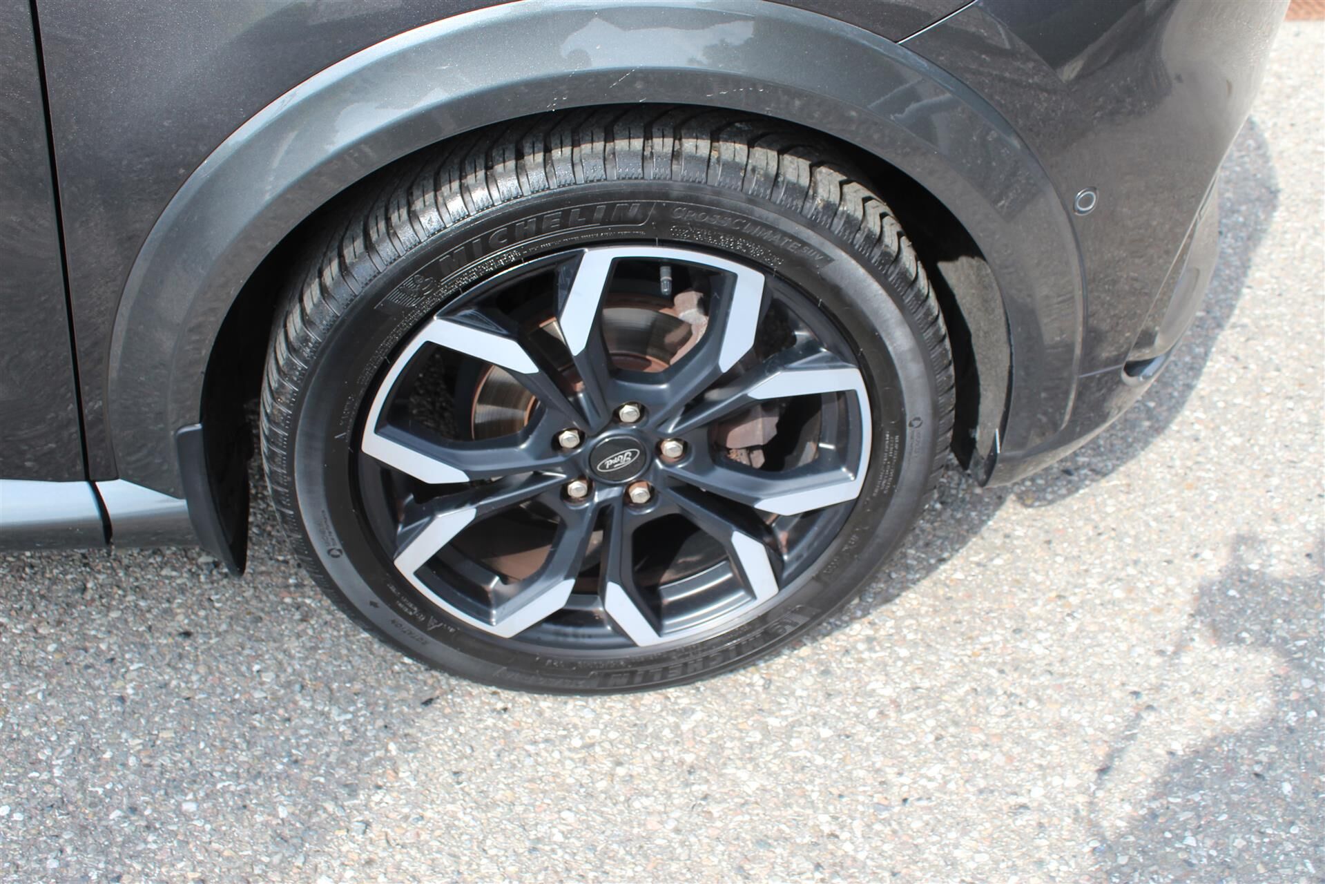 Billede af Ford Puma 1,0 EcoBoost Hybrid ST-Line X 155HK 5d 6g