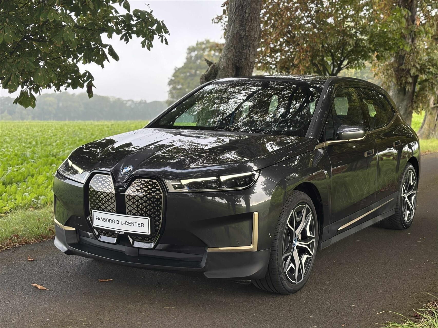 Billede af BMW iX 40 EL Fully Charged XDrive 326HK 5d Aut.