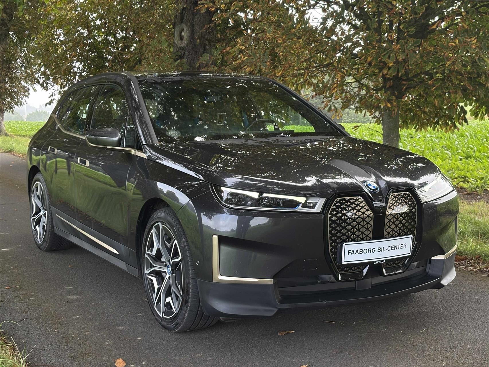 Billede af BMW iX 40 EL Fully Charged XDrive 326HK 5d Aut.