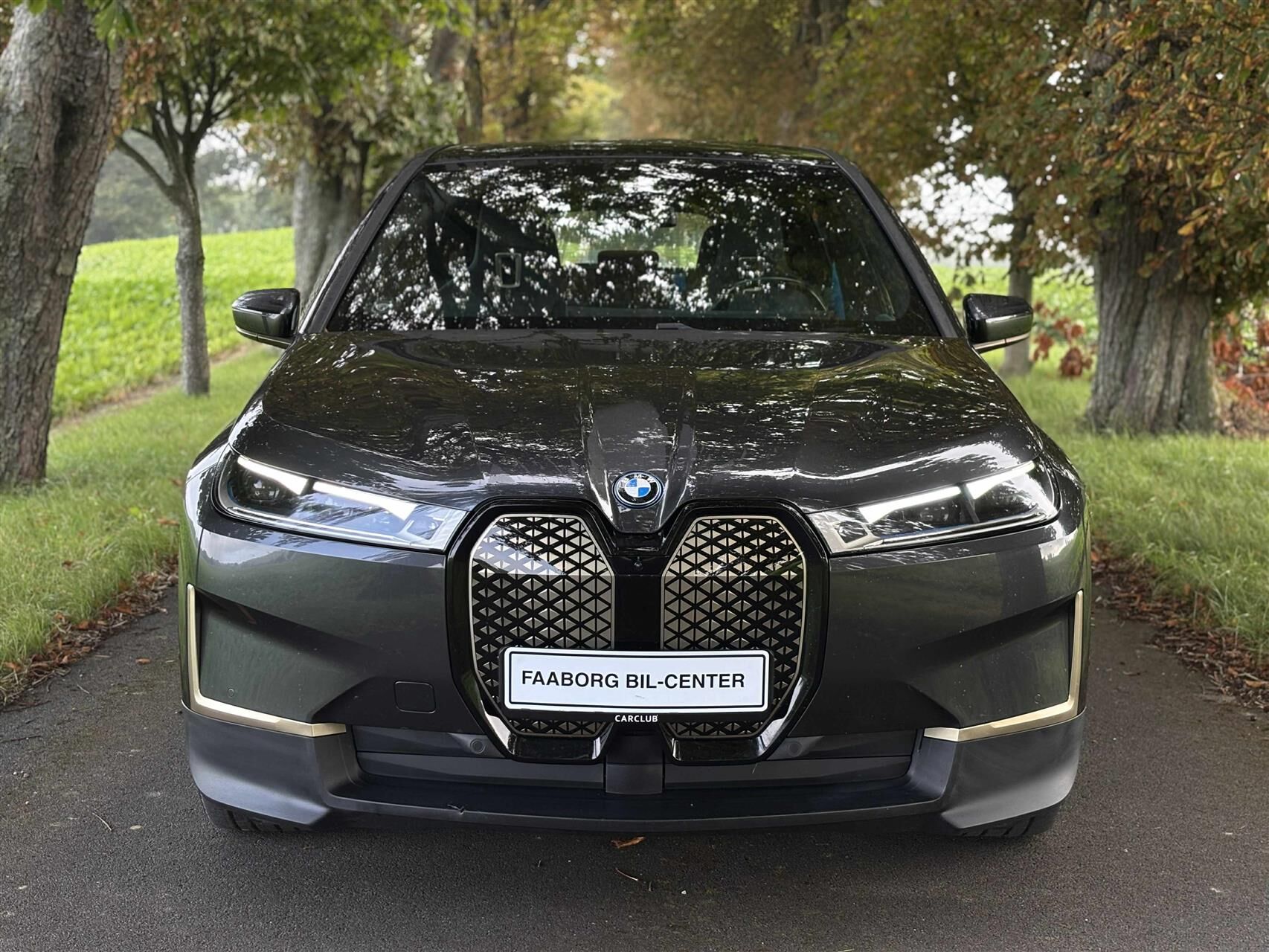 Billede af BMW iX 40 EL Fully Charged XDrive 326HK 5d Aut.