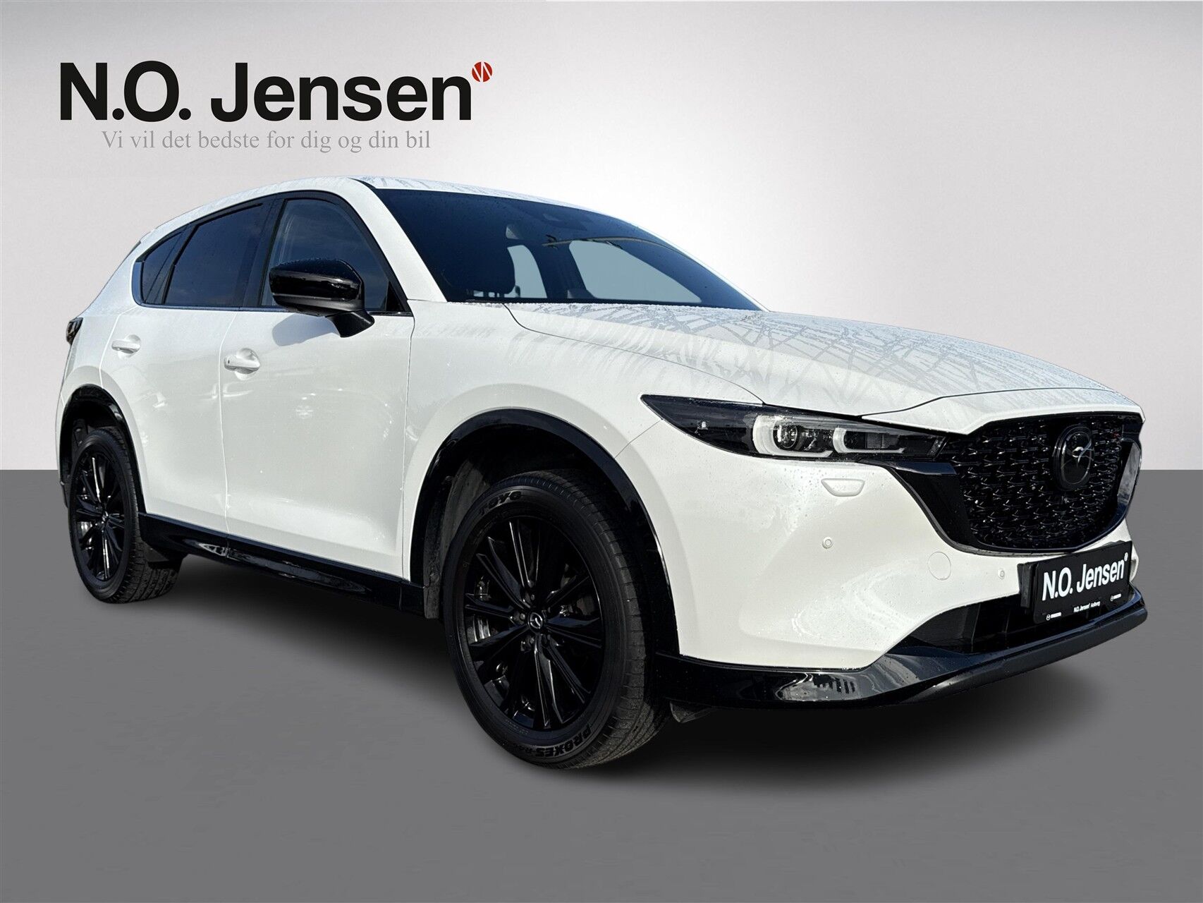 Billede af Mazda CX-5 2,0 Skyactiv-G Homura 165HK 5d 6g Aut.