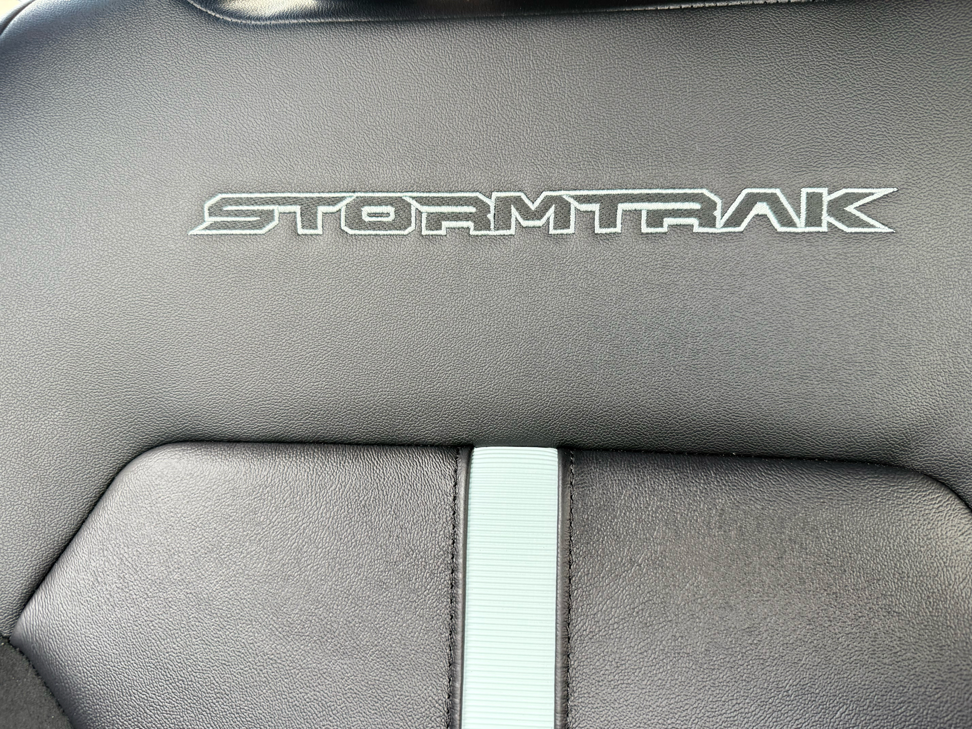 Billede af Ford Ranger 2.3 EcoBoost PHEV Stormtrak Db Cab aut 4d