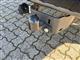 Billede af Isuzu D-max Extended Cab 1,9 D Exclusive 3ton 4WD 163HK Pick-Up 6g Aut.