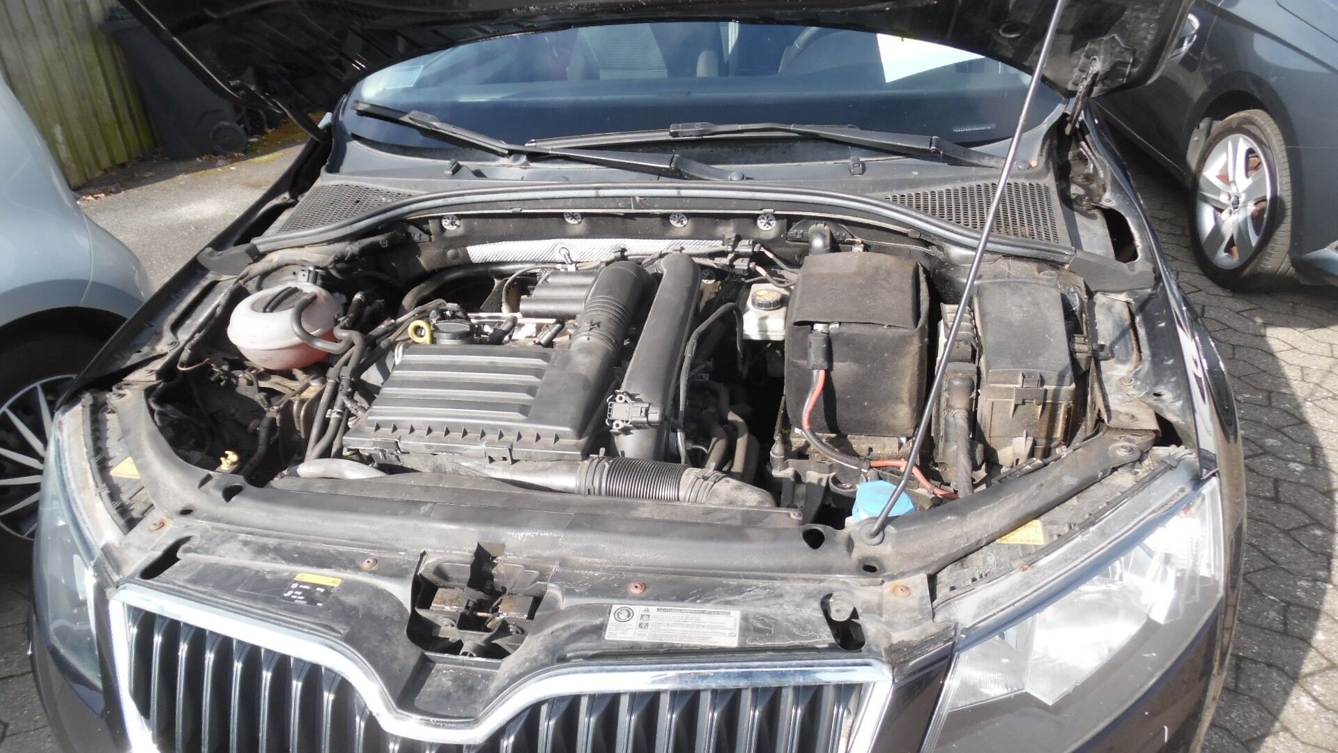 Billede af Skoda Octavia 1,4 TSI Elegance 140HK 5d 6g