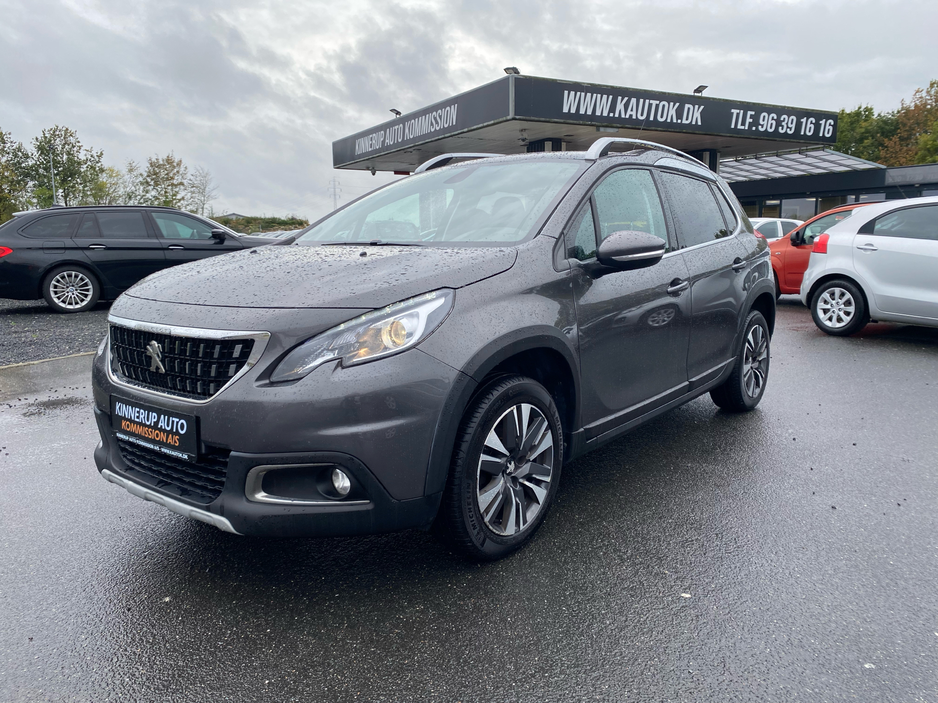 Billede af Peugeot 2008 1,6 BlueHDi Selection Sky 100HK 5d
