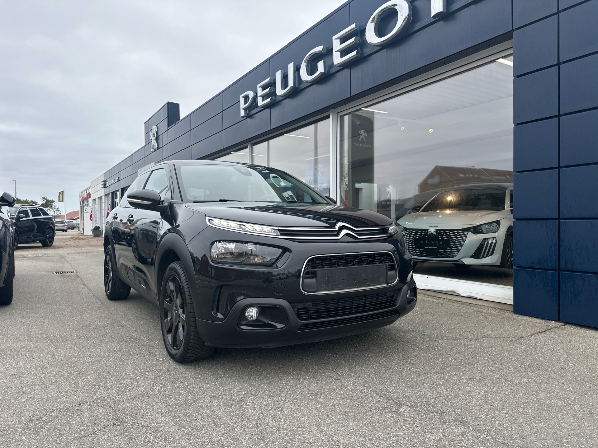 Billede af Citroën C4 Cactus 1,5 Blue HDi Skyline 100HK 5d