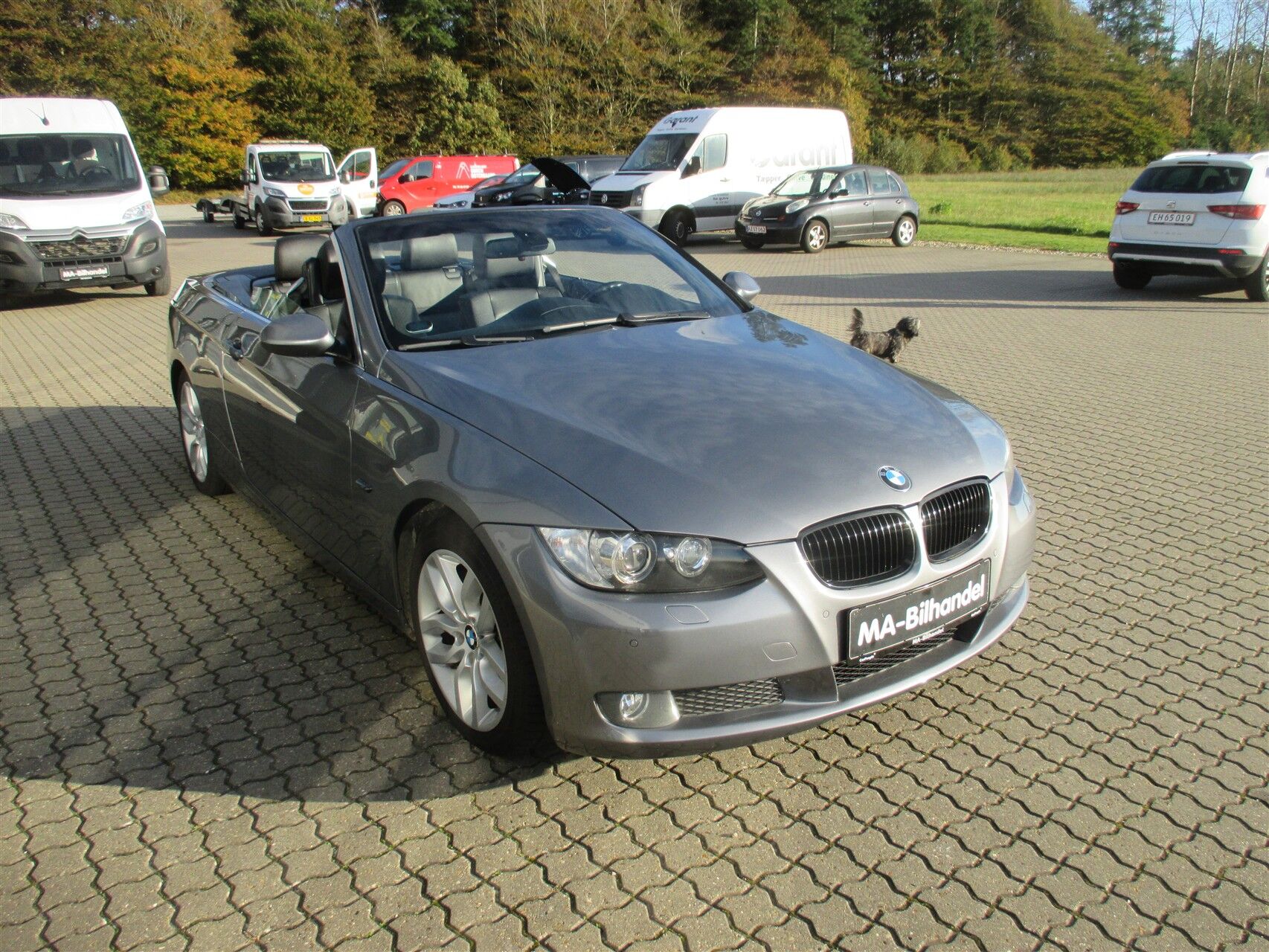 Billede af BMW 330d 3,0 D 231HK Cabr. 6g Aut.