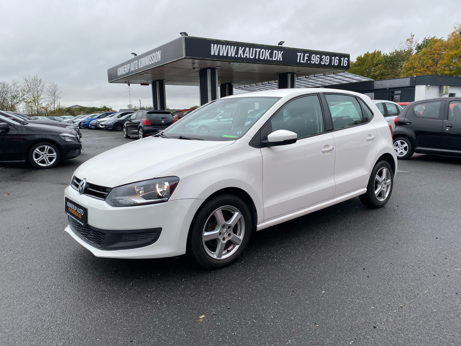 Billede af VW Polo 1,6 BlueMotion TDI DPF Comfortline 90HK 5d