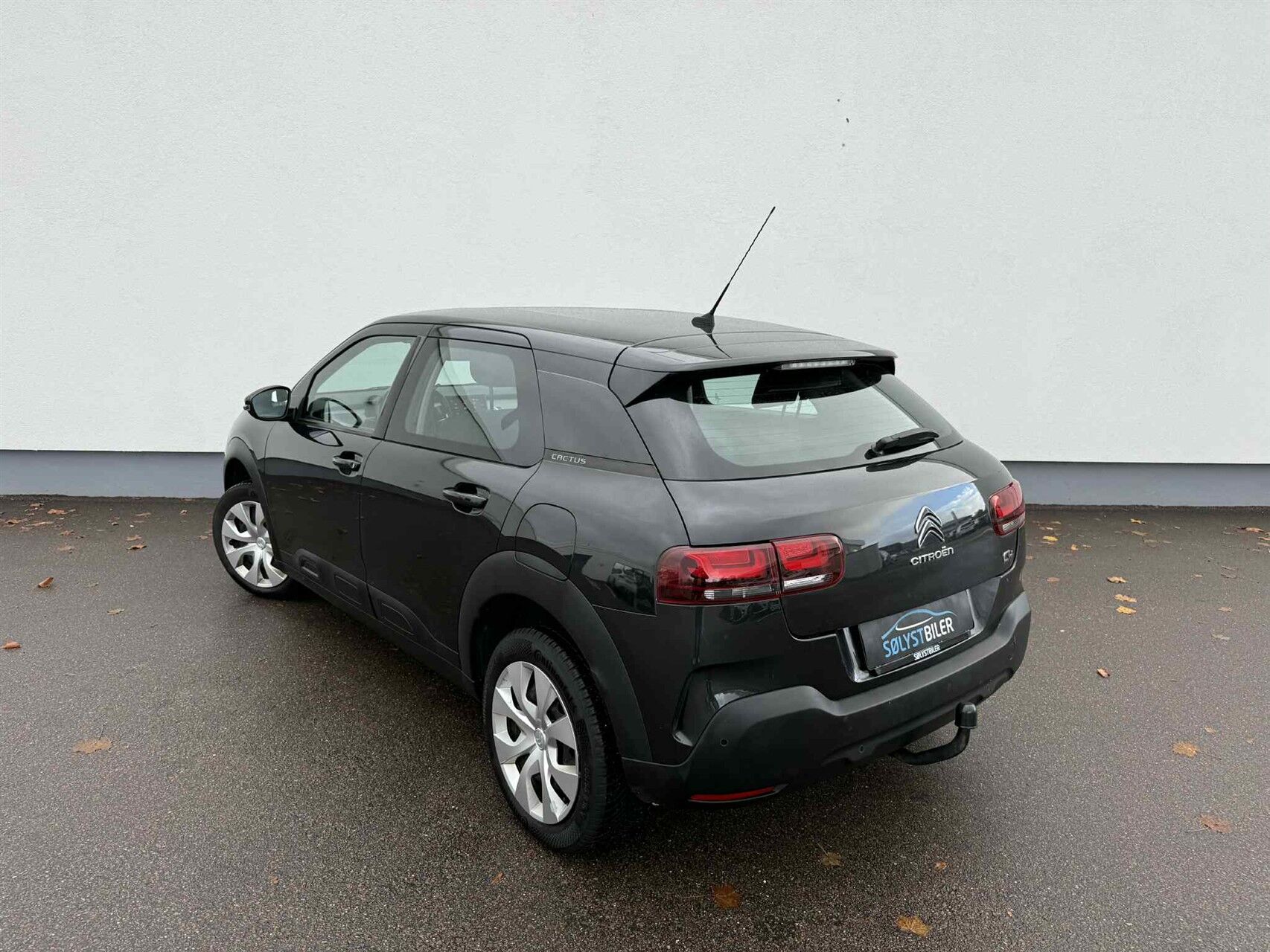 Billede af Citroën C4 Cactus 1,2 PureTech Platinum EAT6 110HK 5d 6g Aut.