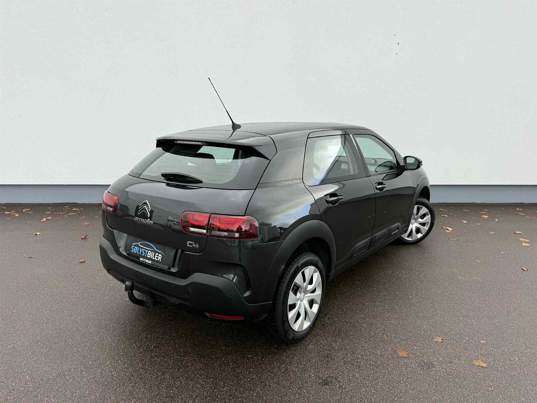 Billede af Citroën C4 Cactus 1,2 PureTech Platinum EAT6 110HK 5d 6g Aut.